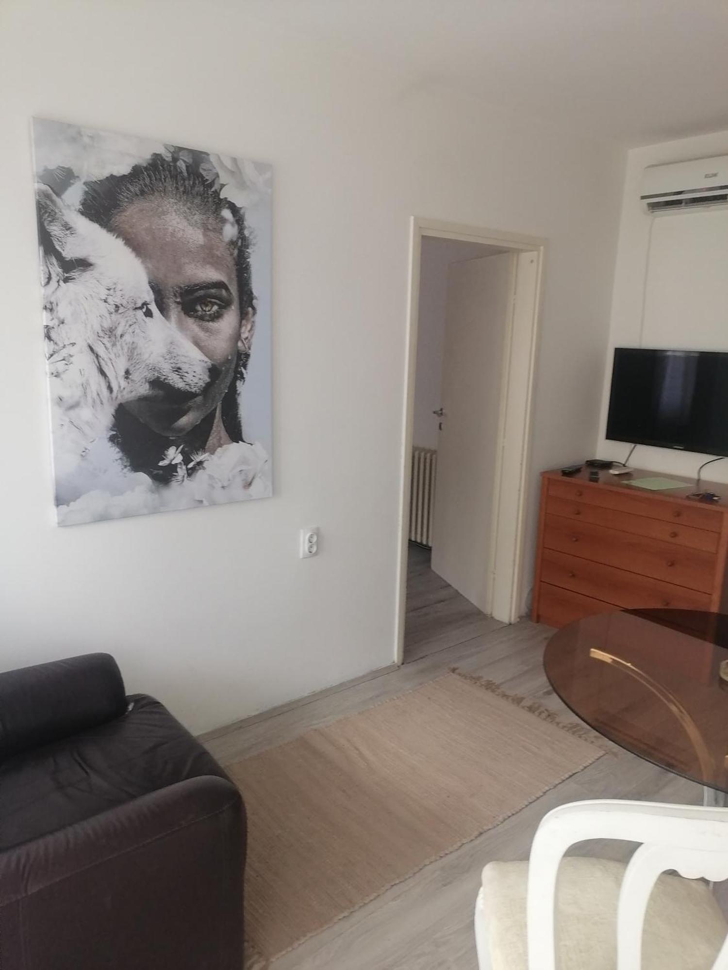 Dunavski Kej Nowy Sad Zewnętrze zdjęcie